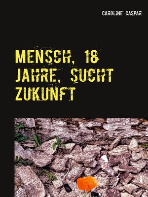 cover image of Mensch, 18 Jahre, sucht Zukunft